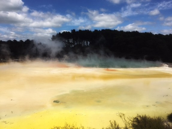 rotorua 1