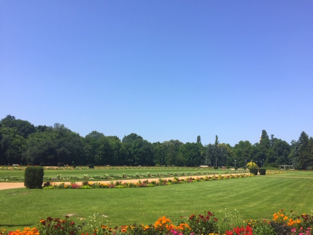 Snapseed - Copy (13).jpg