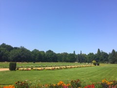 Snapseed - Copy (13).jpg