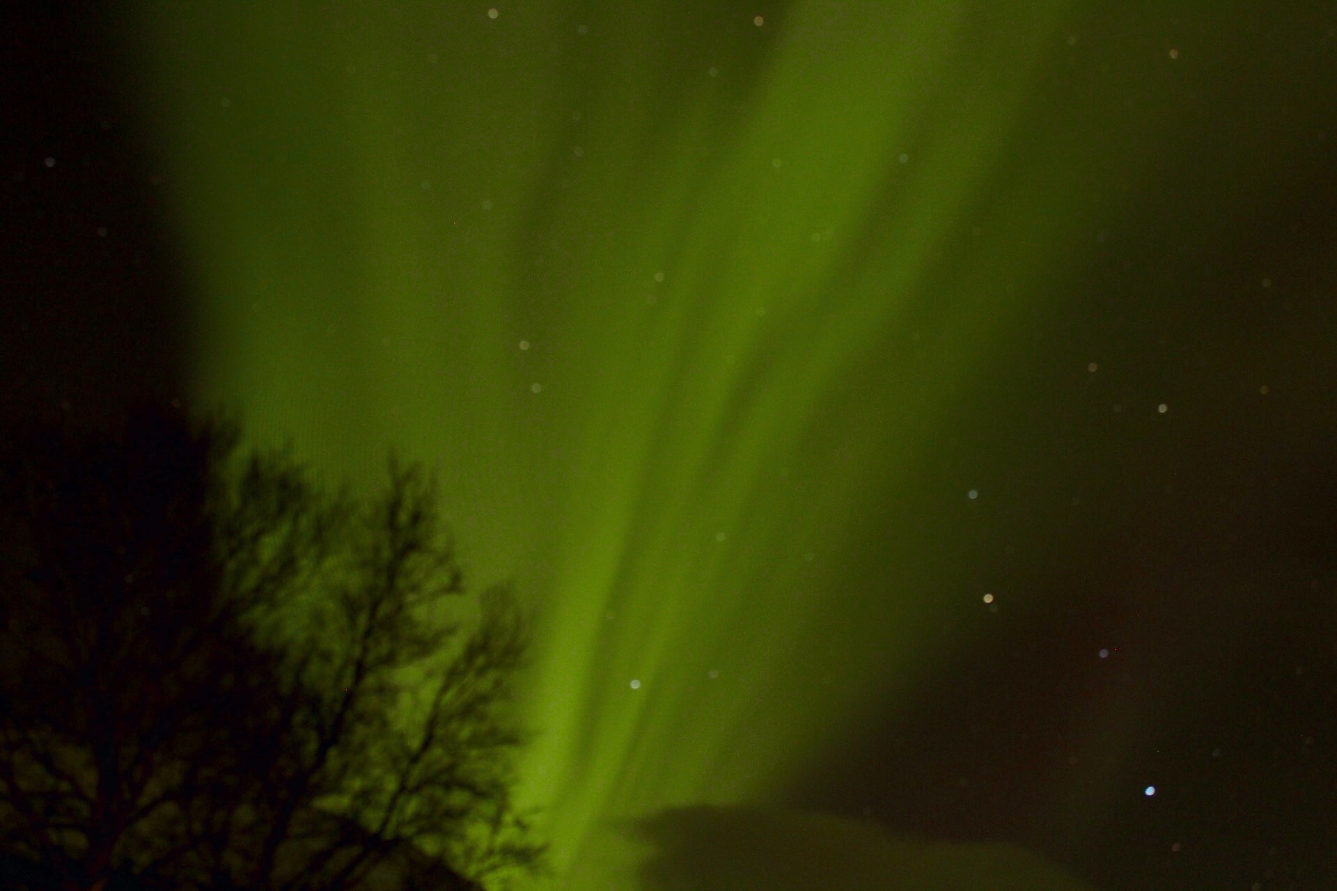 FullSizeRender - Copy (3).jpg