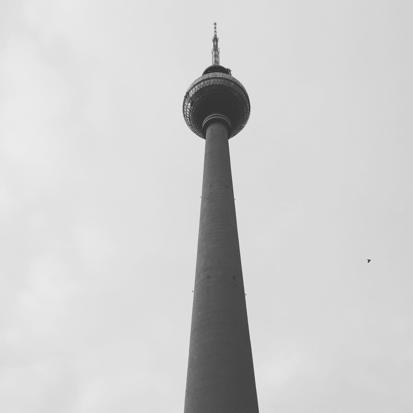 D2751D06-4478-4E38-838C-147163F86494